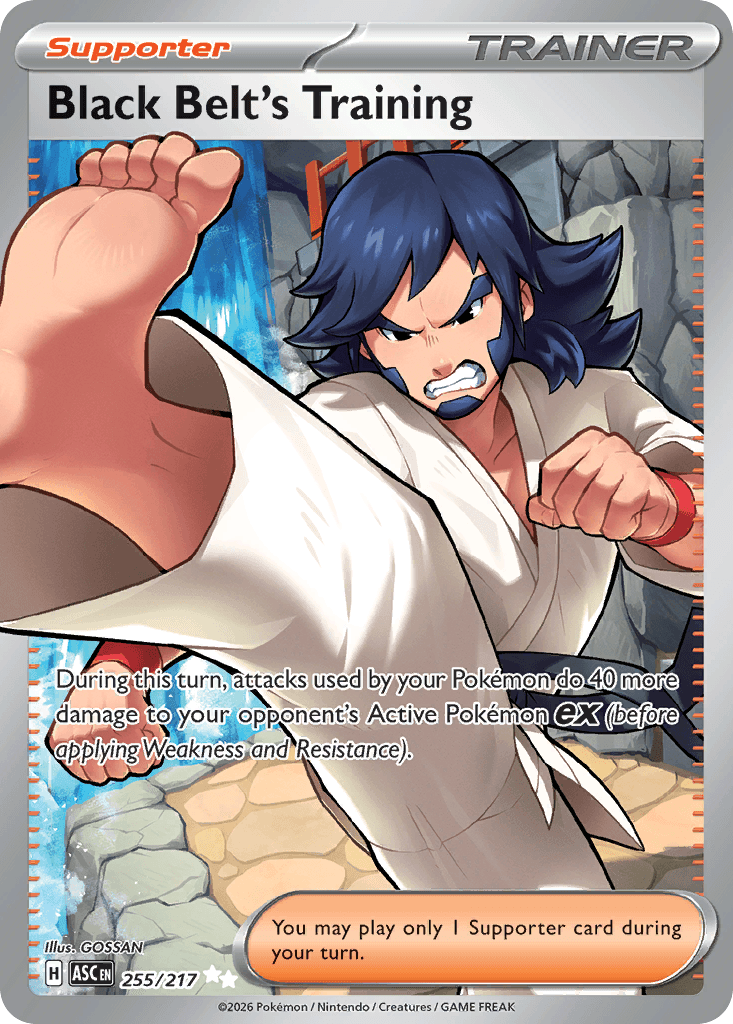 Black Belt's Training z edície Ascended Heroes, karta č.255