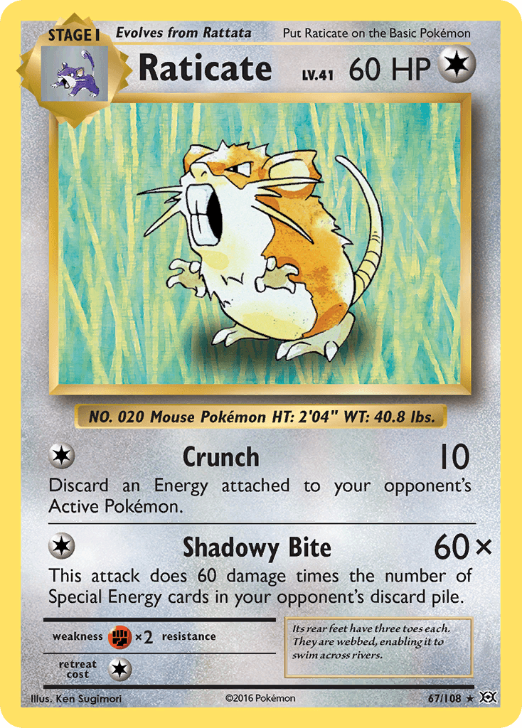 Raticate z edície Evolutions, karta č.67